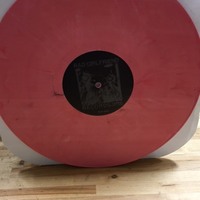 RGF-066 THE DOPAMINES "TALES OF INTEREST" LP/CD  - Thumbnail 3