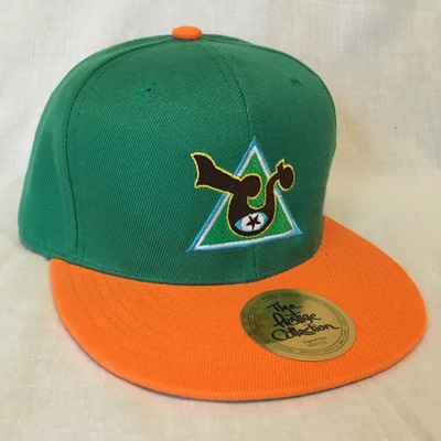 "visionary" snapback