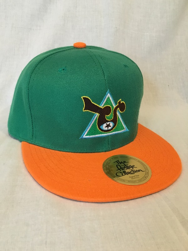 "Visionary" Snapback