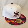 "Visionary" Snapback-2