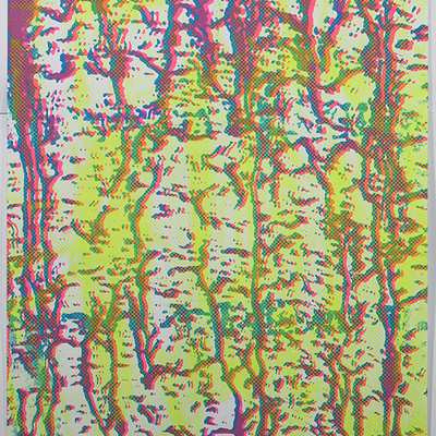 Fluorescent yellow bristol double cub run