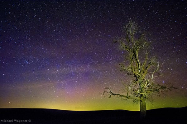 Illumination (11x14)