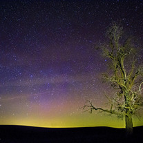 Illumination (11x14)