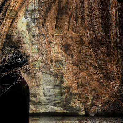 Gridfailure & megalophobe dendritic [cassette]