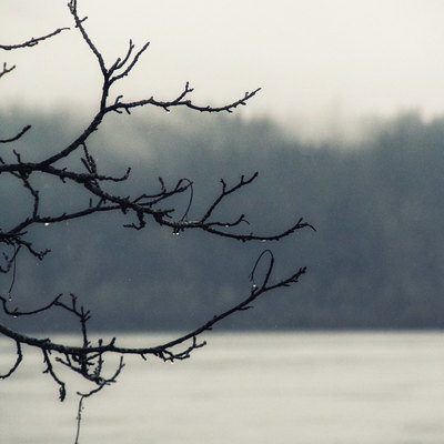 Tranquility 11x17 metal print