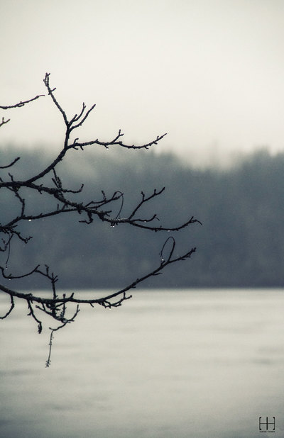 Tranquility 11x17 Metal print