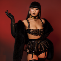 Jennette Skirt ( Black + Gold ) - Thumbnail 3