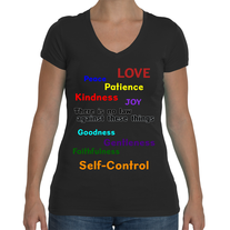 There is No Law... Ladies T-Shirt