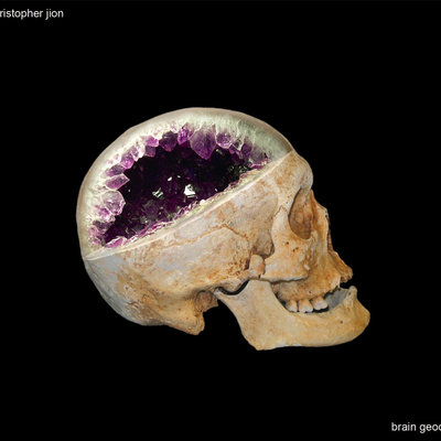 Christopher jion ‎– brain geodes (cd)