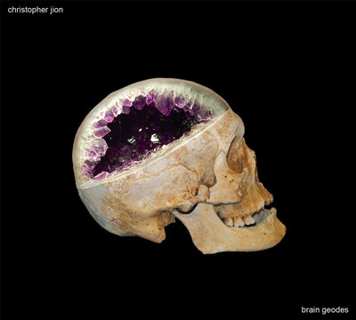 Christopher Jion ‎– Brain Geodes (CD)