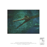 Christopher Jion ‎– This Creature Sleeps Beyond The Flow Of Time (CD) - Thumbnail 2