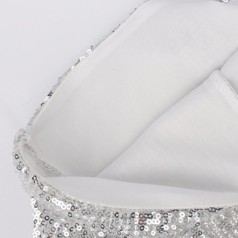 Silver Bodycon Sequins Dress