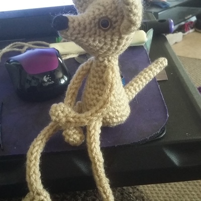 Taco the dog floppy limb animal 