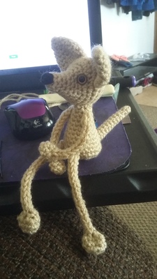 Taco the dog floppy limb animal 