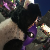 Fuzzy Panda Grateful Dead Jacket - Thumbnail 3