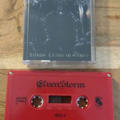 Elvenstorm - blood leads to glory