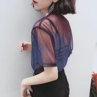 Chic Gradient Color Mesh Top - Thumbnail 2