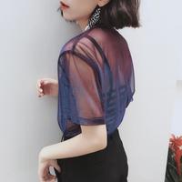 Gradient See-through Mesh Top - Thumbnail 1