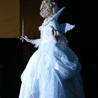 Fairy Godmother - Thumbnail 1