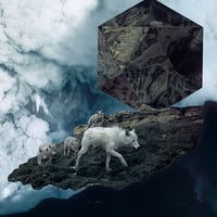 The Pack | Print - Thumbnail 1