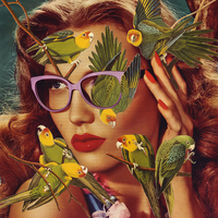 Fly Away | Print - Thumbnail 1