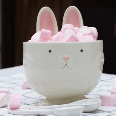 Cute rabbit salad bowl