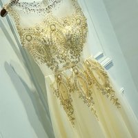 Charming Appliques and Beaded Prom Dress,Elegant Evening Dress,Long Party Dresses,Real Photos Evening Gowns,Sexy Prom Dresses, - Thumbnail 1