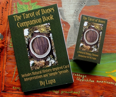 The Tarot of Bones Companion Book