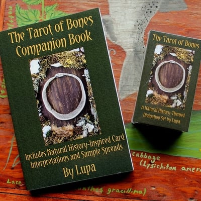 The tarot of bones deck and book set