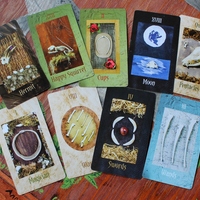 The Tarot of Bones Deck and Book Set - Thumbnail 3