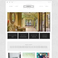 Storenvy Premium Plus Theme | Custom Storefront | Lynwood - Thumbnail 1