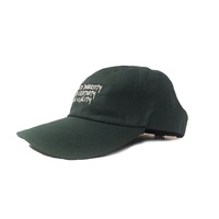 Forest Green Dad Cap/strapback-The vision  - Thumbnail 1