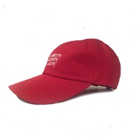 Cherry Red Dad Cap/strapback-The vision  - Thumbnail 2