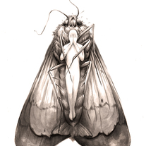 Of Moths (Art Print) 