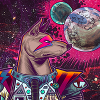 Ziggy Stardog - Thumbnail 3