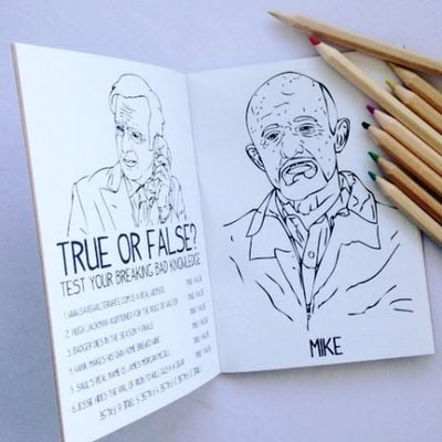 Breaking bad rainy day activity book