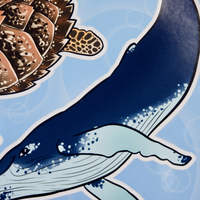 Aquatic Life Sticker Sheet - Thumbnail 2