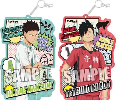 Haikyuu!! Big Pass Case 