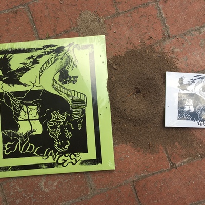 Endlings - s/t lp (sssk#68)