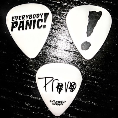 Provo custom guitar picks