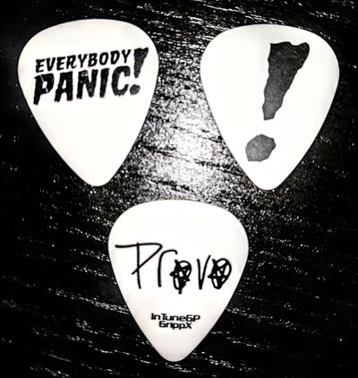 Provo custom guitar picks
