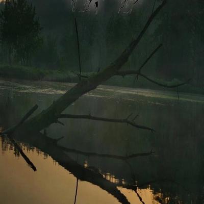 Suicidal madness - au crépuscule d'une vie - tape with botton