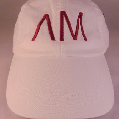 Logo embroidered dad hat