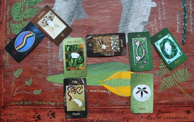 Vertebrate Animal Classes five card Tarot of Bones reading 