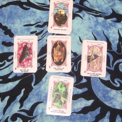 One card animal totem reading 
