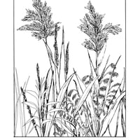 Wet Earth - Thumbnail 1