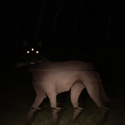 It came through the yard - print - Thumbnail 5