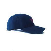 Red on navy blue dad cap-"the vision" - Thumbnail 2
