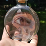 Glass Eye-2