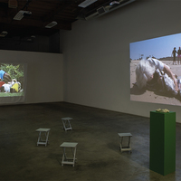 Simone Forti — On An Iron Post - Thumbnail 3